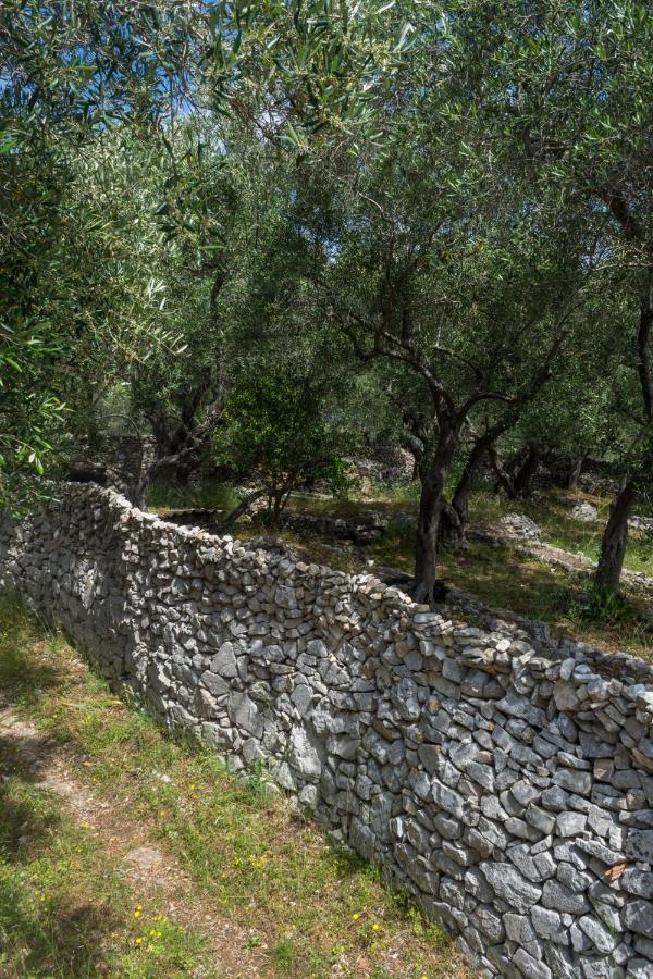 Villa Elaia Suites & Apartments No.7 Gaios Bagian luar foto