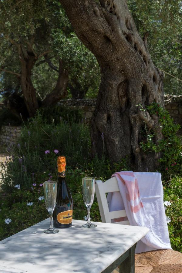 Villa Elaia Suites & Apartments No.7 Gaios Bagian luar foto